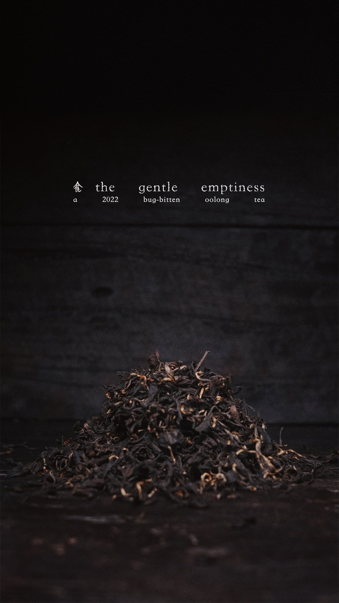 the gentle emptiness