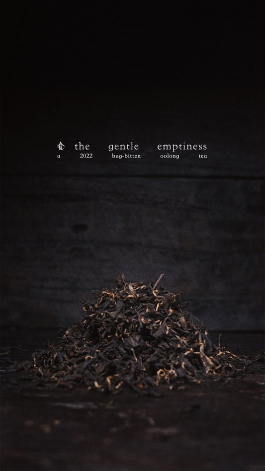 the gentle emptiness