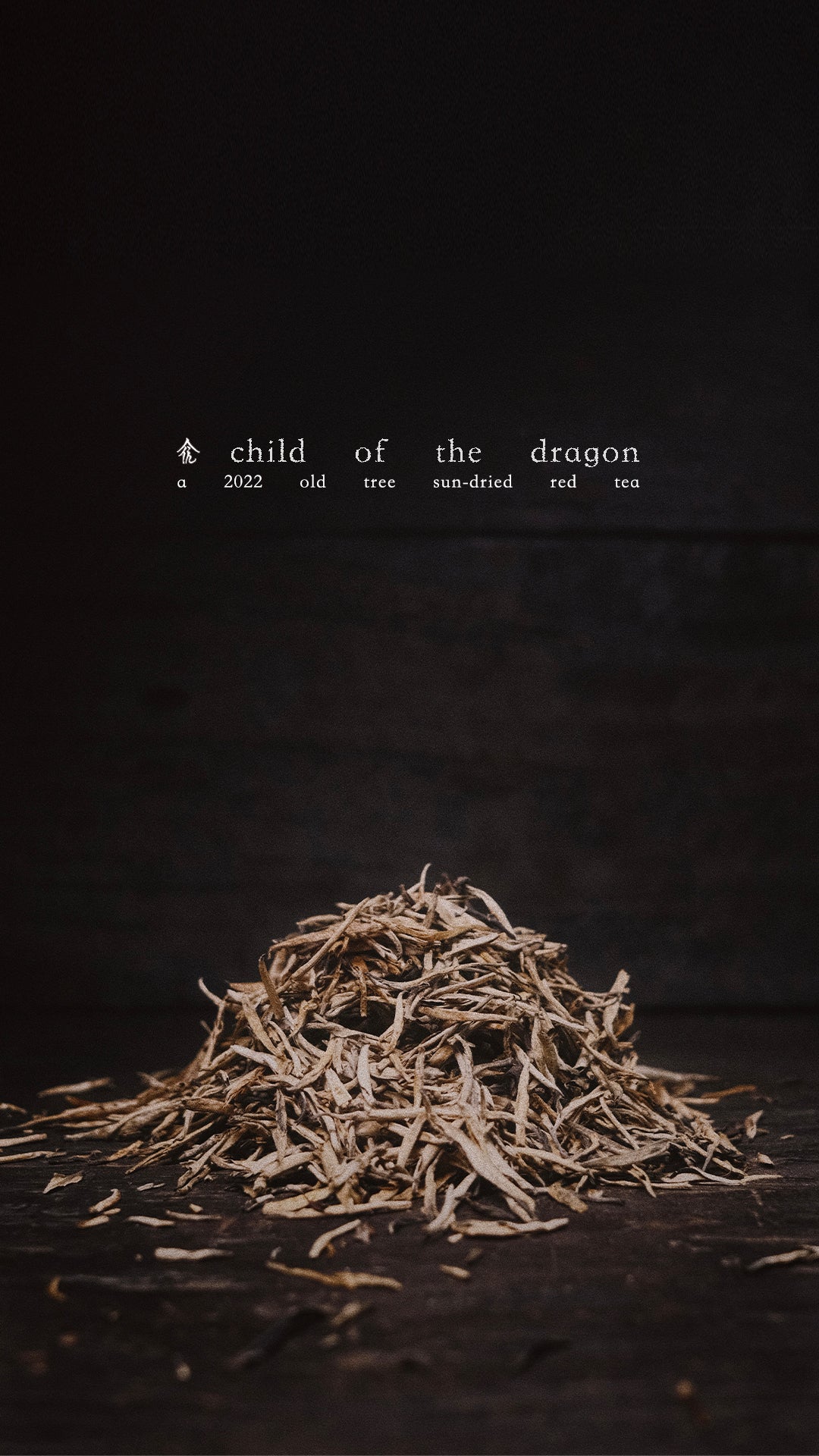 child of the dragon